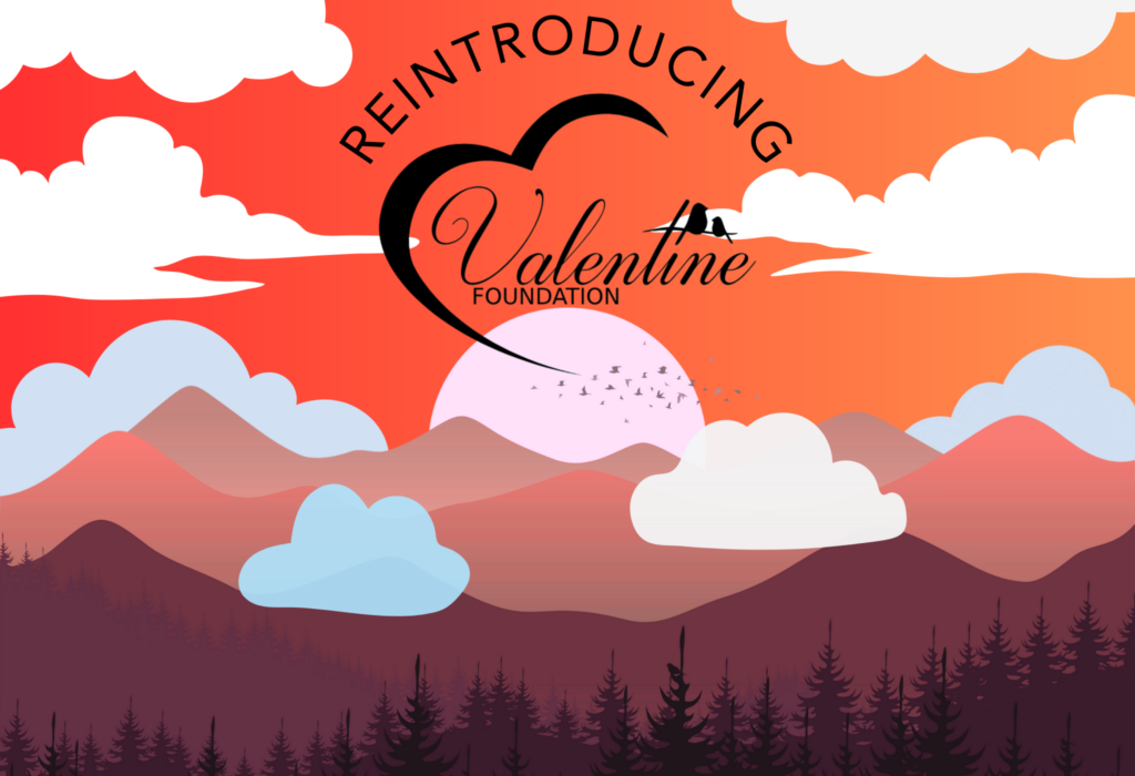 An image with the Valentine Foundation logo set over a cloudy mountain range and forest.