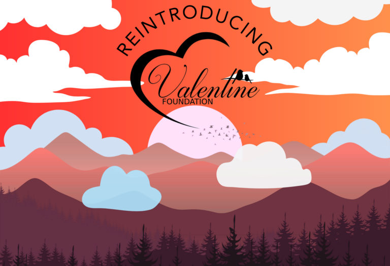 An image with the Valentine Foundation logo set over a cloudy mountain range and forest.