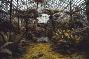 conservatory, plants, greenhouse, trees, garden, nature, eco, horticulture, ecosystem, glasshouse, environment, ecology, agriculture, hexagon, tropical, botanical, architecture, conservation, environmental, greenhouse, greenhouse, greenhouse, greenhouse, greenhouse, ecosystem, ecosystem