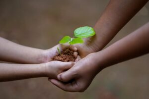 hands, soil, plant, environment, growth, nature, dirt, agriculture, tree, care, seedling, protection, seed, cultivated, sapling, gardening, hope, idea, concept, humans, people, share, help, giving, passing, earth day, share, help, giving, giving, earth day, earth day, earth day, earth day, earth day